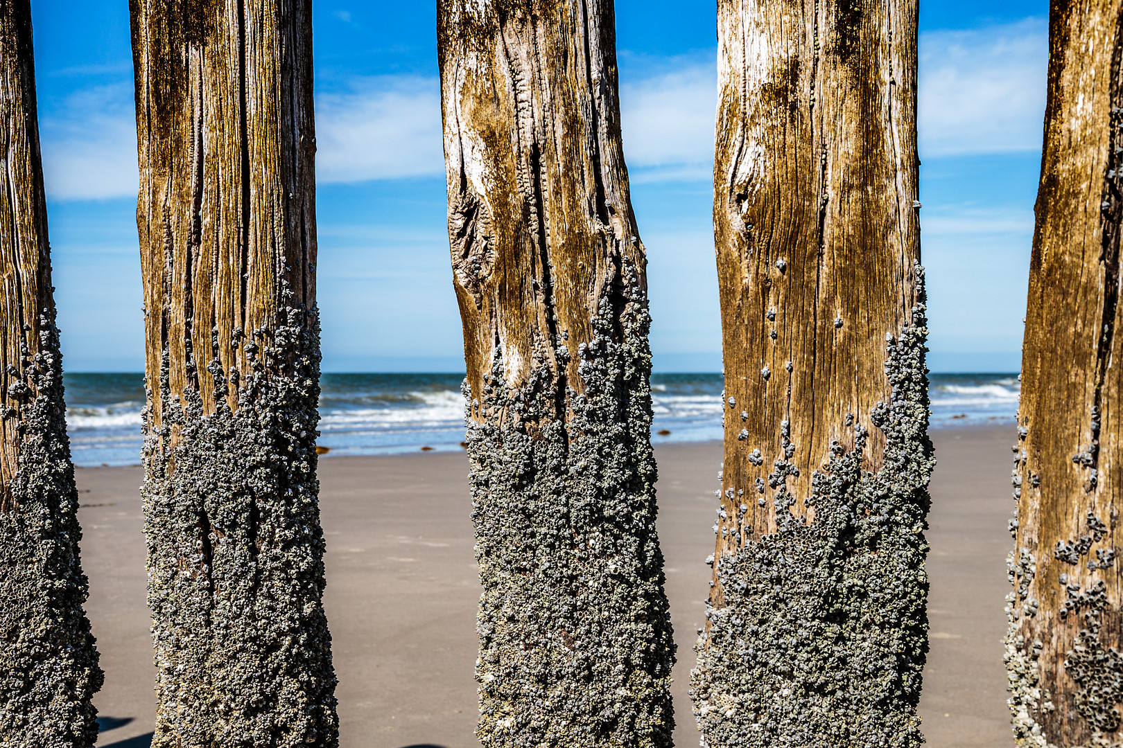 Buhnen in Zeeland