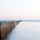 Buhnen Insel Rügen