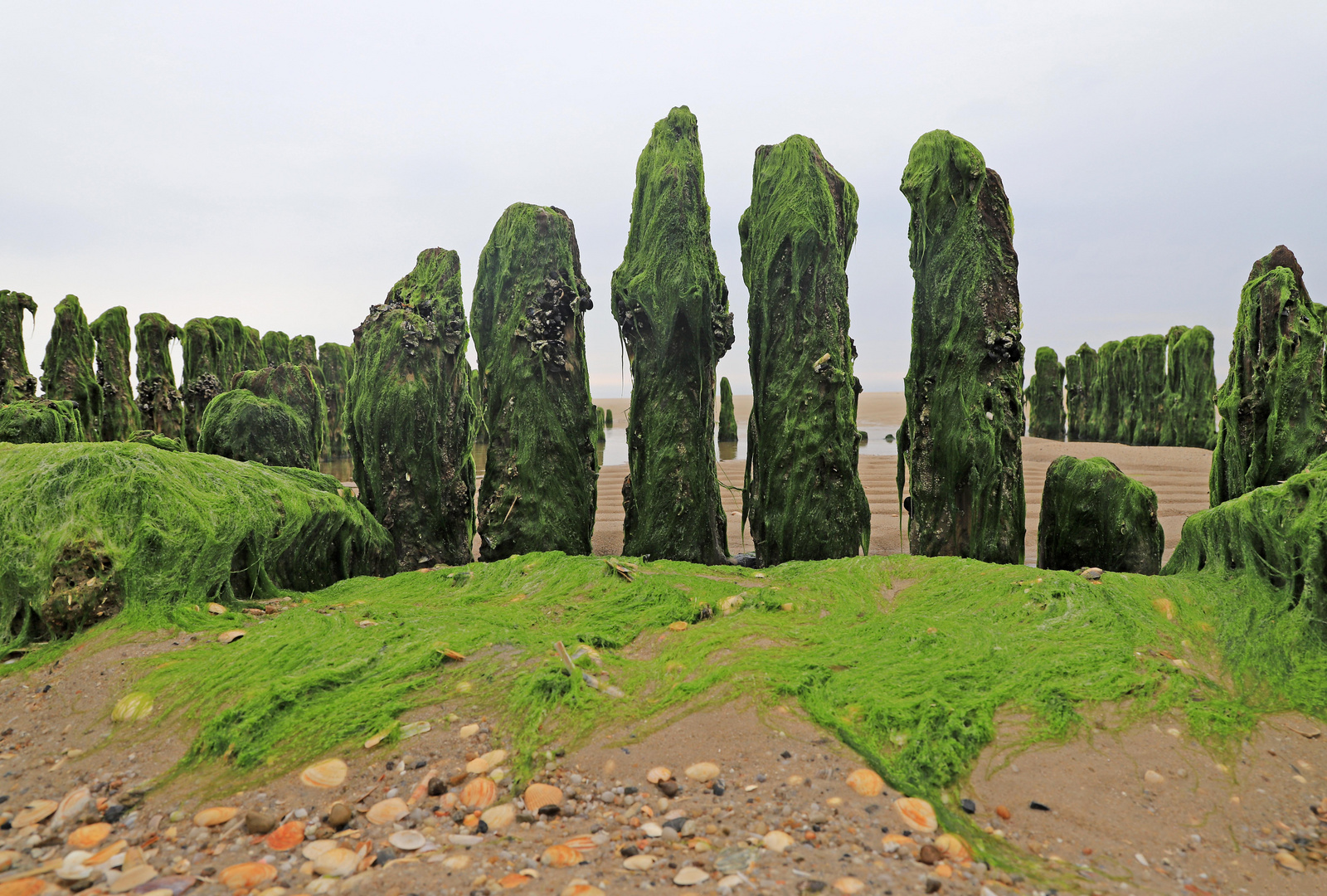 Buhnen mit Durchblick