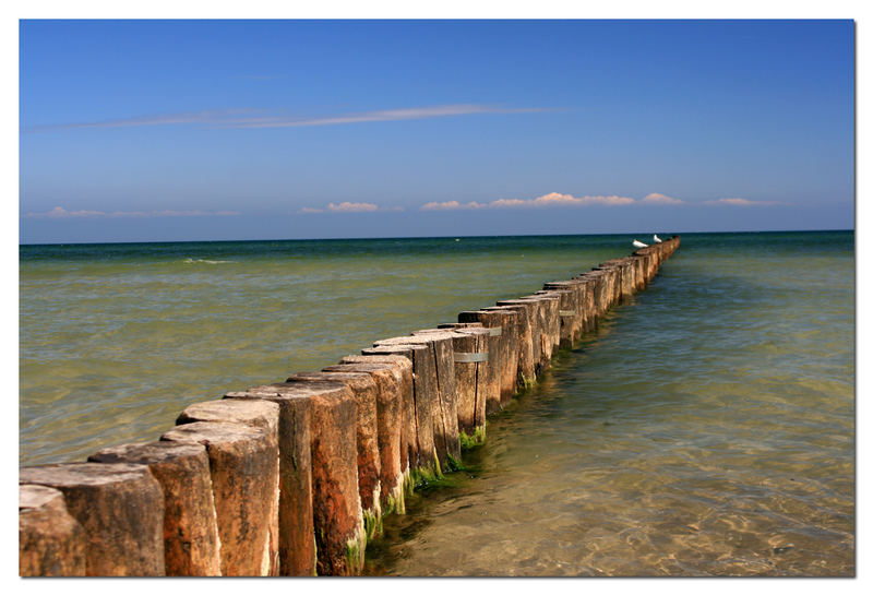 Buhnen und Meer