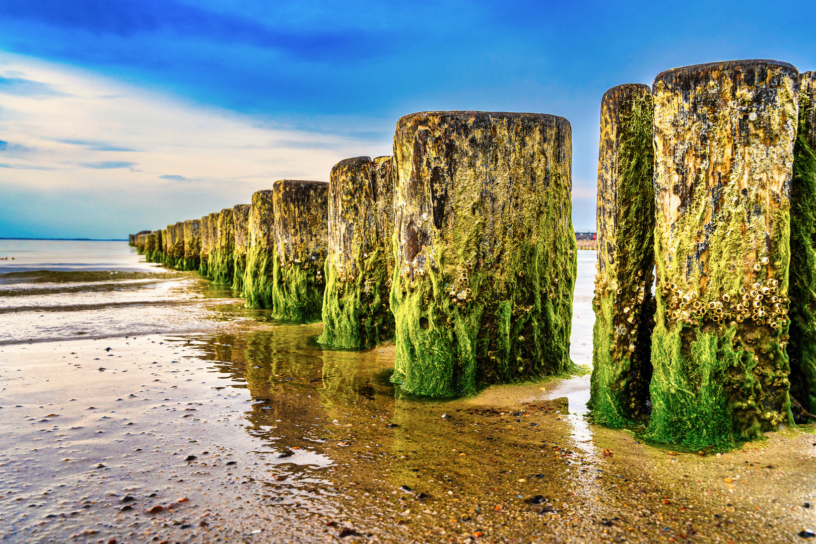 Buhnen von Glowe auf Rügen