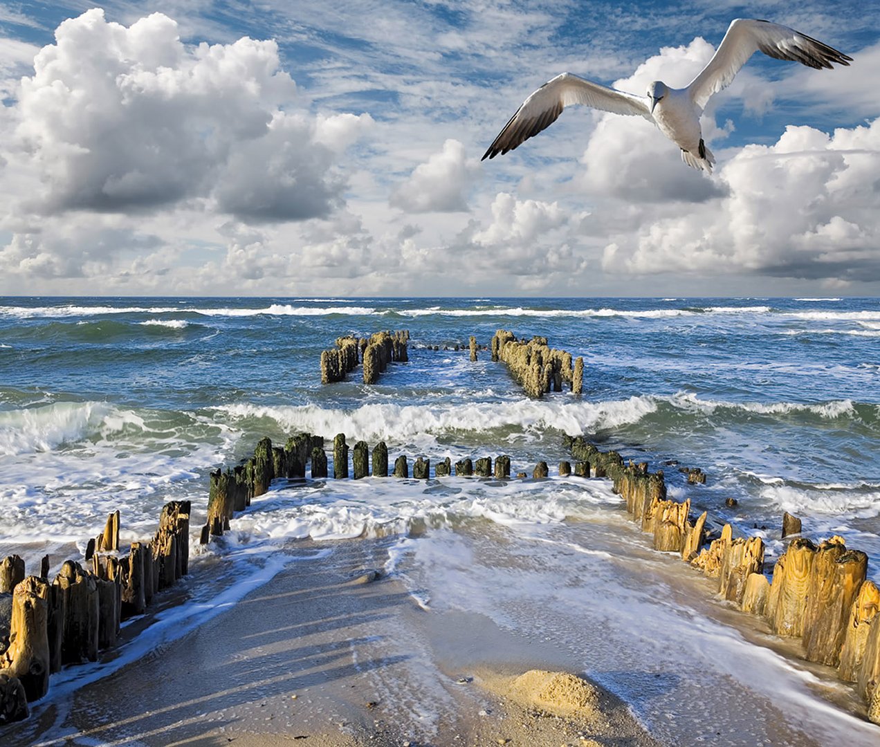 Buhnen von Rantum Sylt