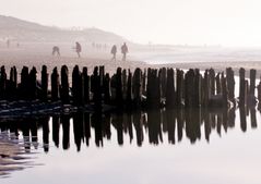 Buhnen vor Sylt