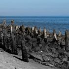 Buhnenreste auf Sylt