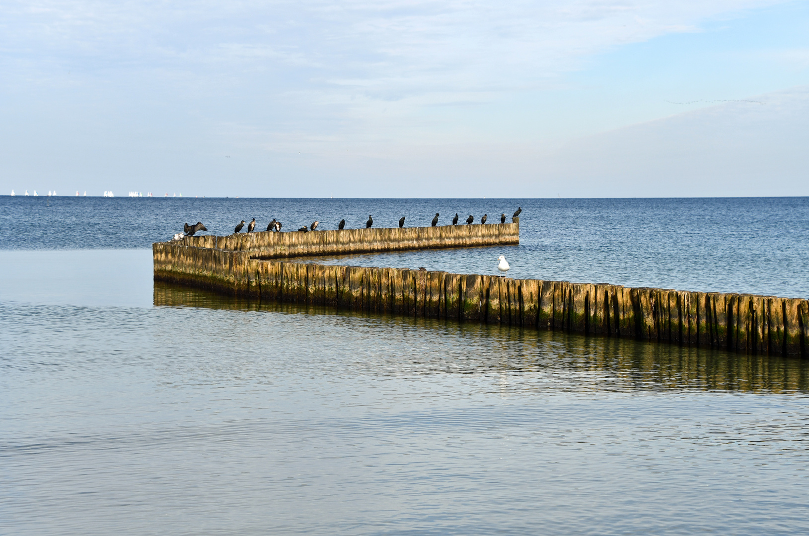 Buhnenromantik an der Ostseeküste