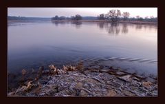 Buhnenspitze an der Elbe