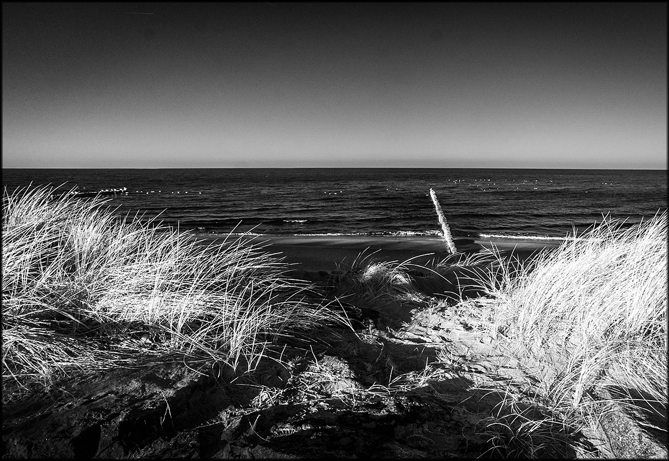 Buhne_Ostsee_mit Dünengras_IR