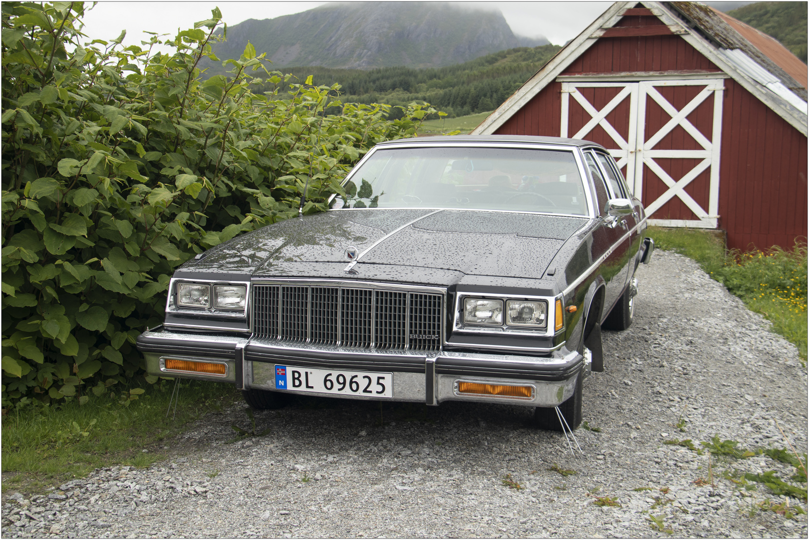 Buick Electra Limited Sedan #1