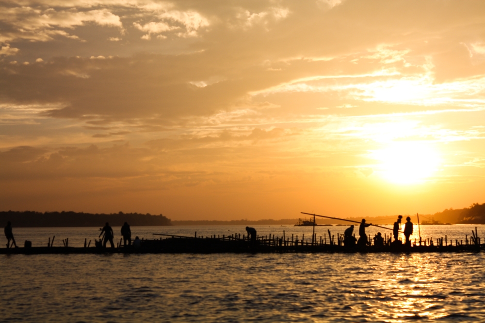 Building a bamboo bridge@Kompong Cham / Koh Pbain, Cambodia