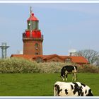 BUK, . . . . . . der höchst gelegene Leuchtturm Deutschlands.