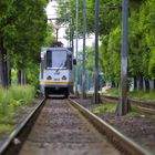 Bukarester Straßenbahn