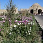 Bukhara 2007 - Altstadt