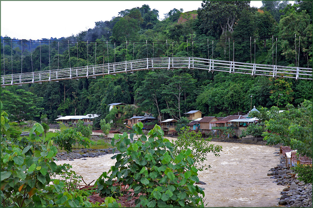 BUKIT LAWANG...