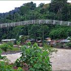 BUKIT LAWANG...