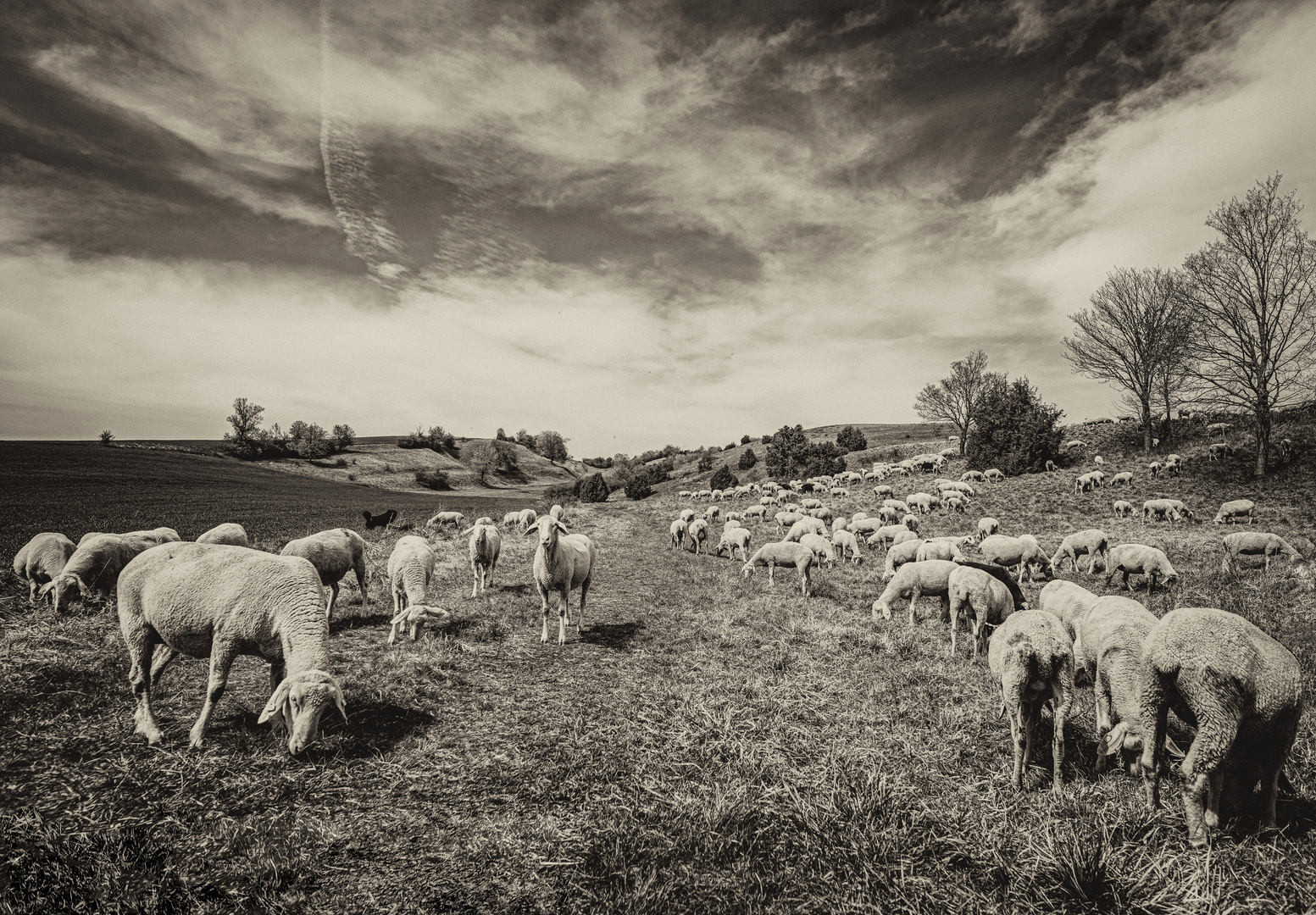 Bukolisch Foto & Bild deutschland, europe, bayern Bilder auf