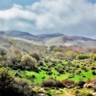 Bukolische Landschaft