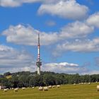 Bukova hora, der 683 Meter hohen Zinkenstein ist von   Norden durch eine "Hochebene"...