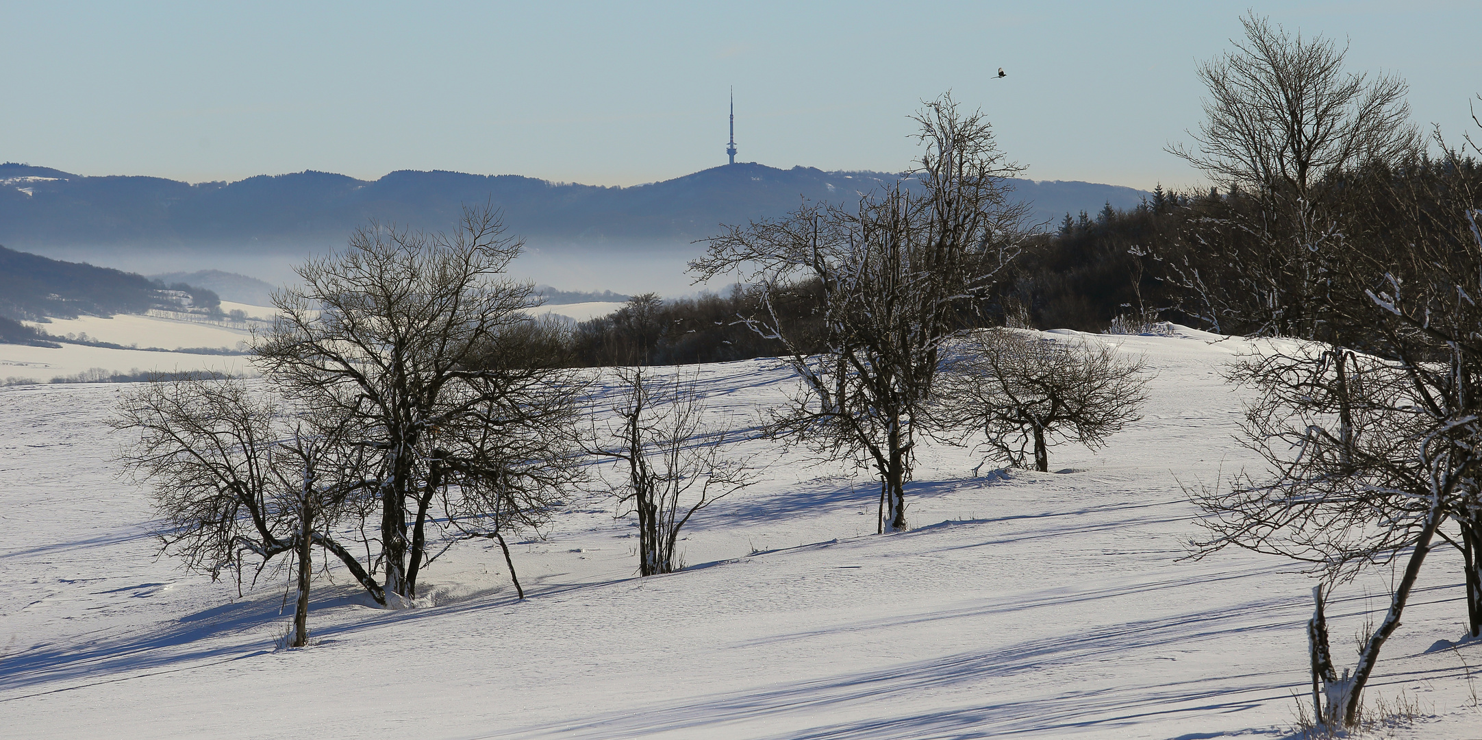 Bukova hora mit dem dominierenden Sendeturm das Elbtal (Labe) und eine Elster...