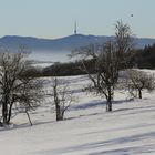 Bukova hora mit dem dominierenden Sendeturm das Elbtal (Labe) und eine Elster...