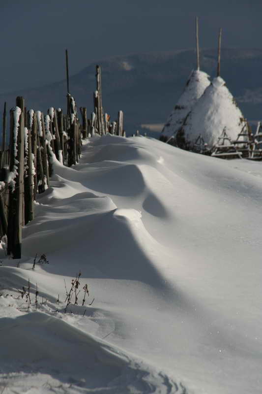 Bukovina