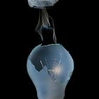 bulb