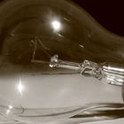 bulb