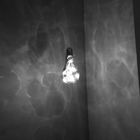 bulb fiction