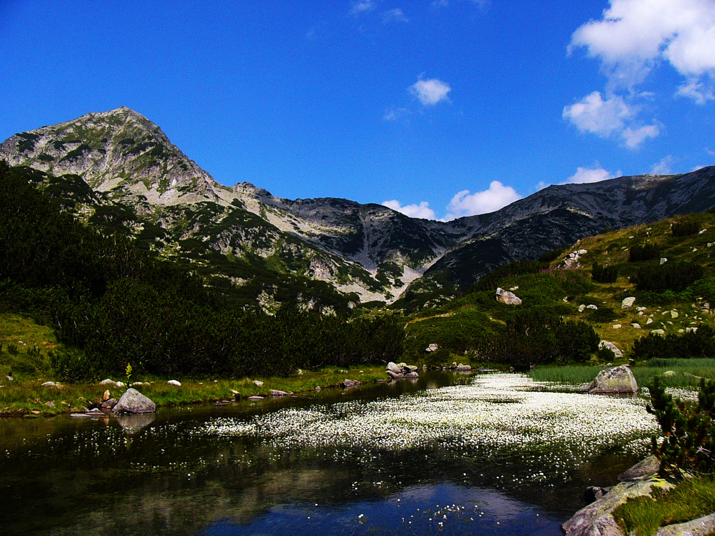 Bulgaria - Pirin