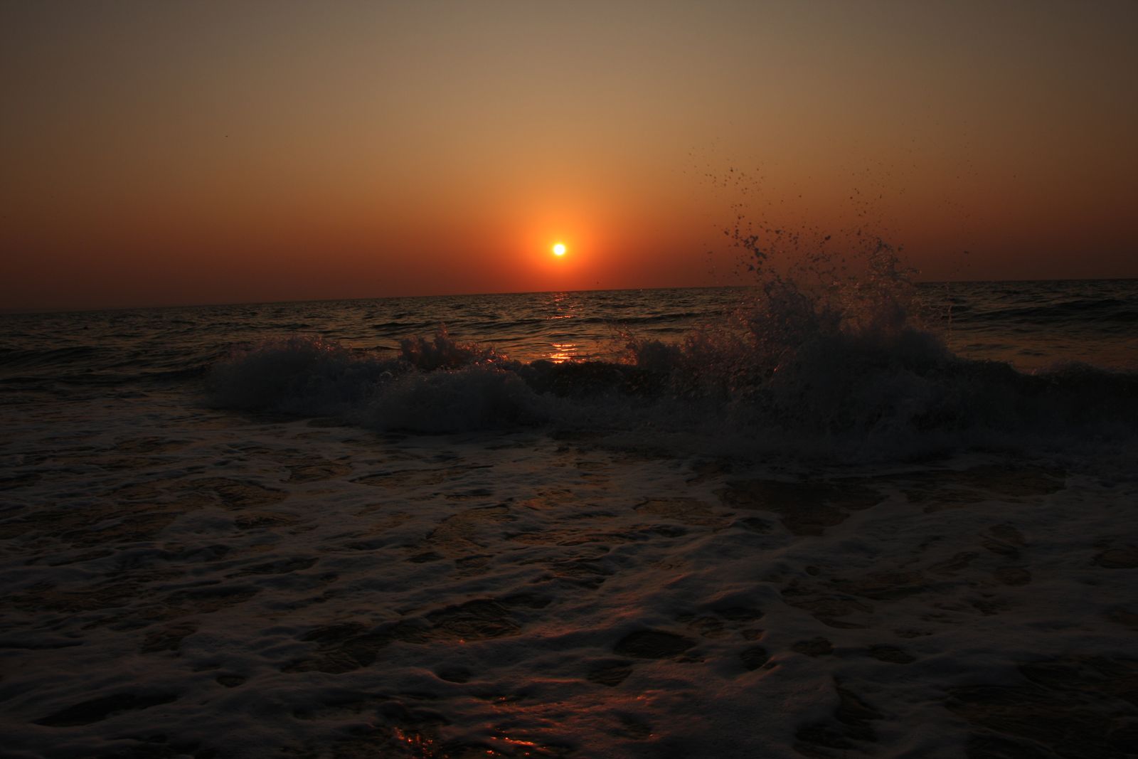 bulgarian  land coast