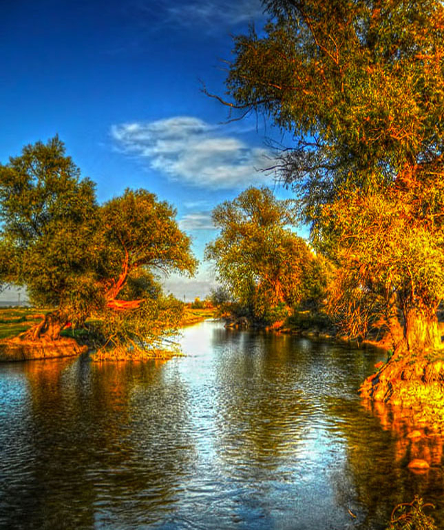 Bulgarian nature