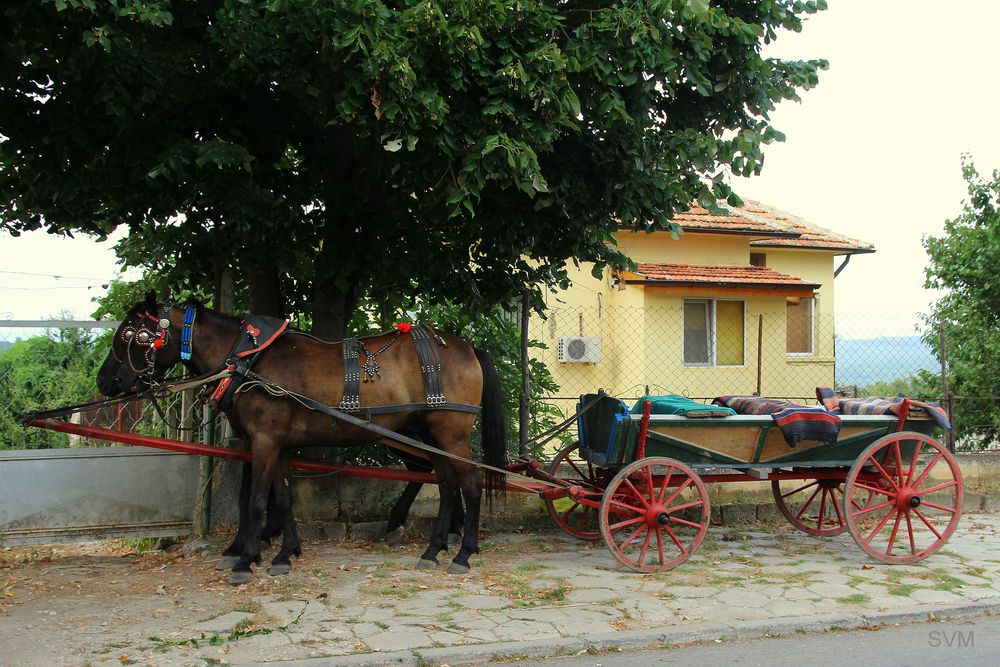 Bulgarien heute