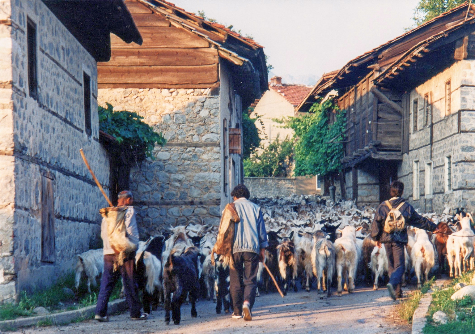 Bulgarien   Jahr 1995