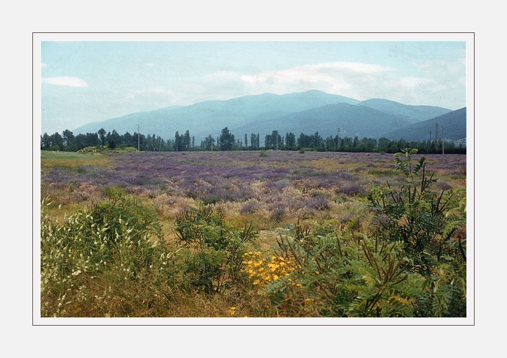 Bulgarische Landschaft