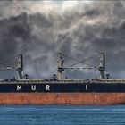 Bulk Carrier AFRICAN STARLING, Rotterdam.