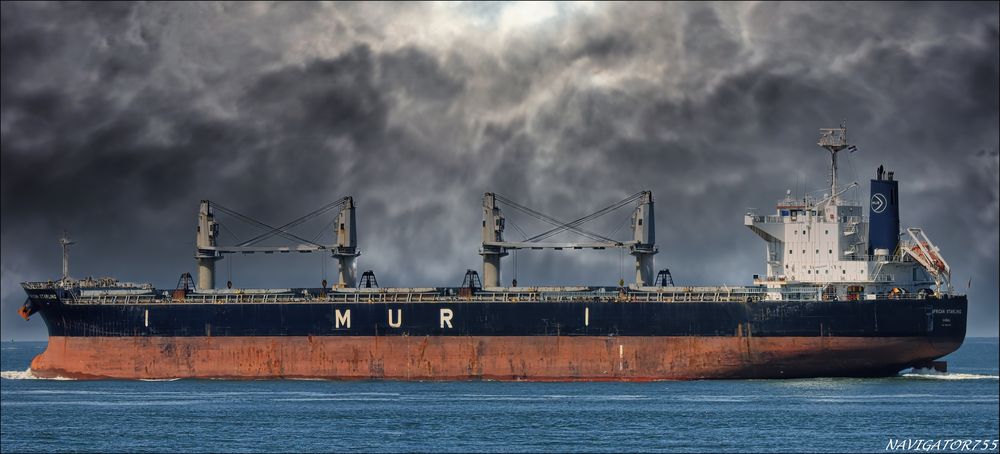 Bulk Carrier AFRICAN STARLING, Rotterdam.