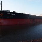 Bulk Carrier Aom Julia