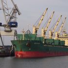 Bulk Carrier AS Elbia