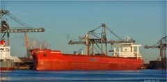 Bulk Carrier BERGE ISHIZUCHI, Rotterdam.