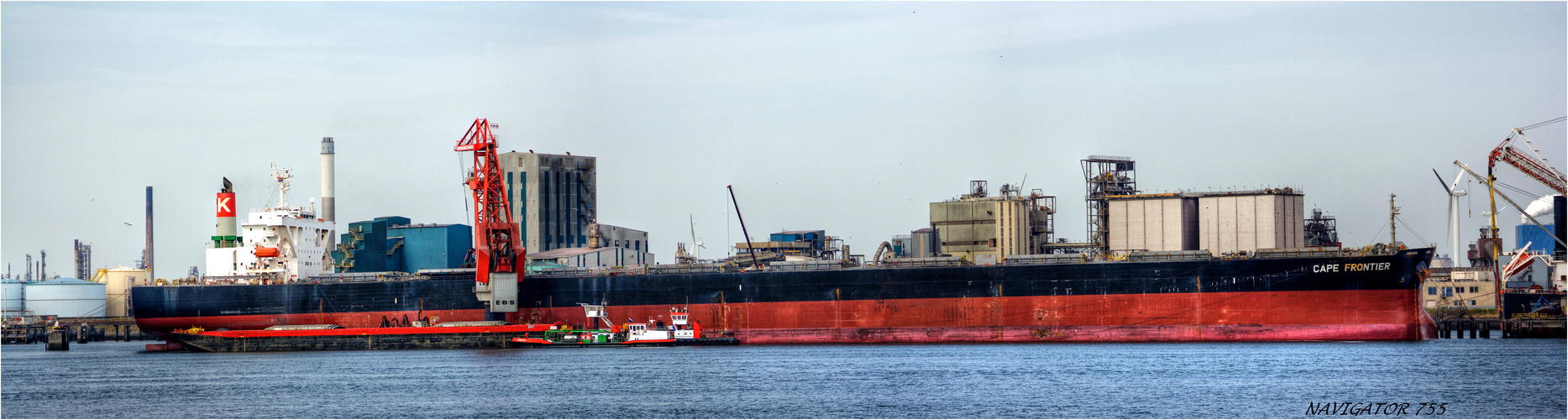 Bulk Carrier CAPE FRONTIER, Elbehaven, Rotterdam