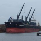 Bulk Carrier Common Venture