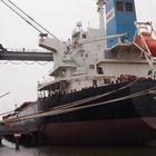 Bulk Carrier Golden Bull