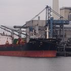 Bulk Carrier Novo Mesto