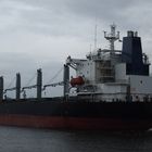 Bulk Carrier Pacific Ocean