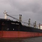 Bulk Carrier Pacific Ocean (II)