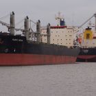 Bulk Carrier Pacific Ocean und Bulk Carrier Zagreb