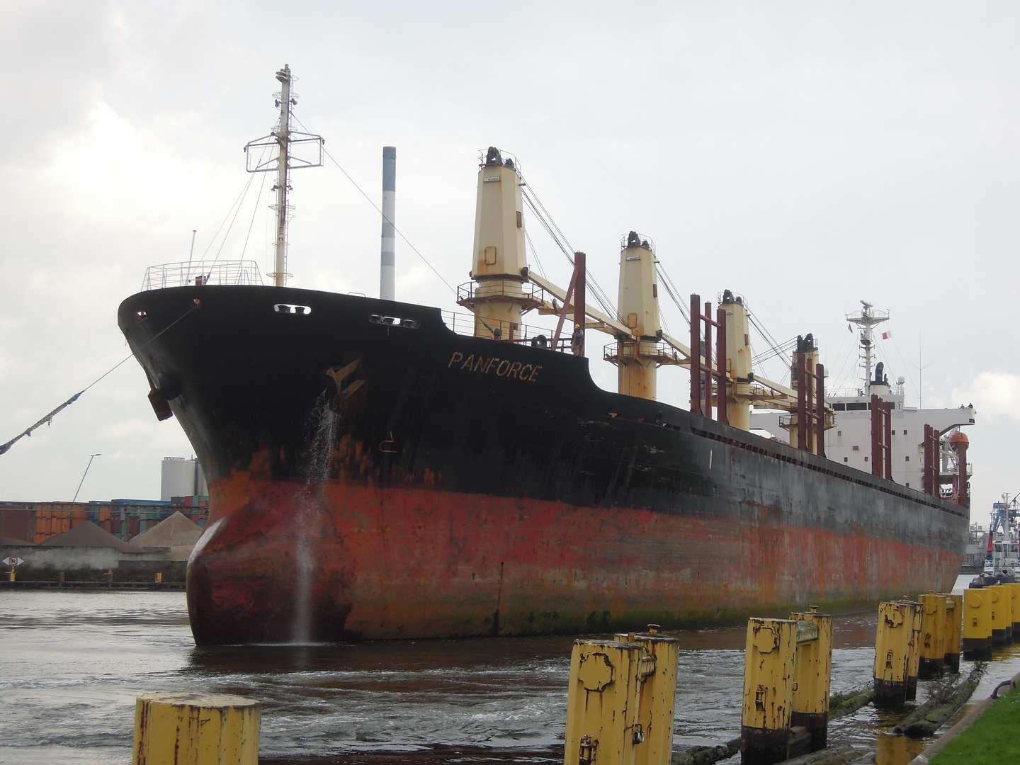 Bulk Carrier Panforce