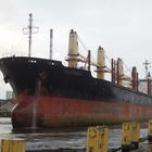 Bulk Carrier Panforce