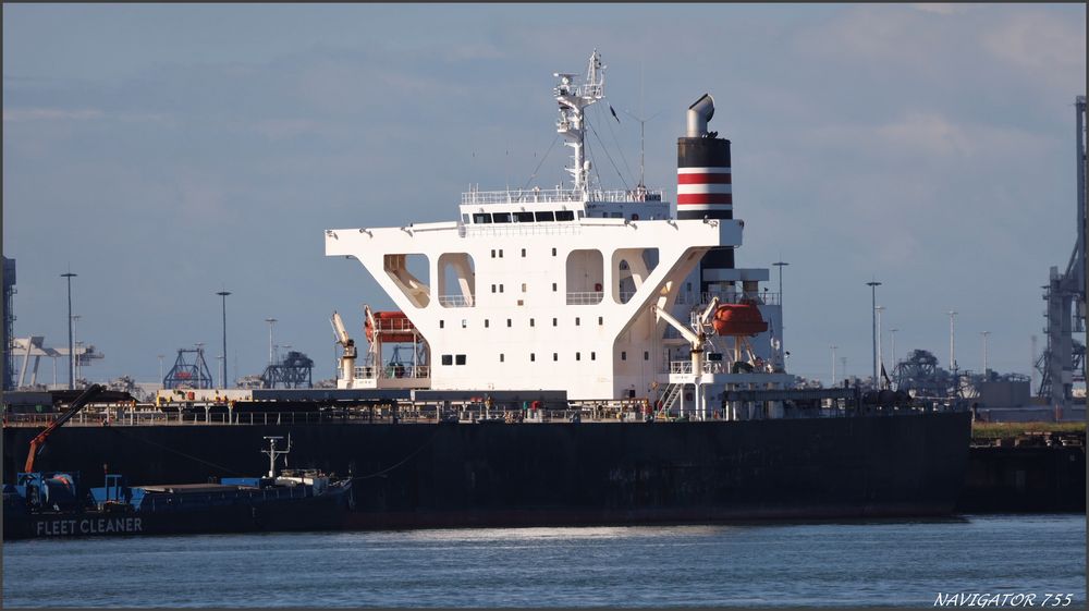 Bulk Carrier, Rotterdam