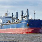 BULK CARRIER (Schütt- und Massengutfrachter) geht elbaufwärts Richtung Hamburg......