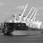 Bulk Carrier Serenity I